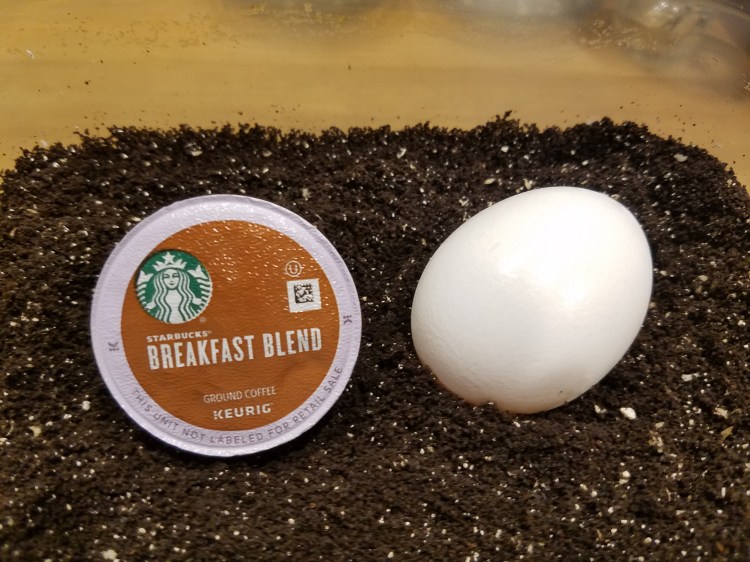 Eggshells and Coffee Grounds&nbsp;Fertilizer